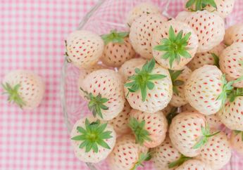 Mengenal Pineberry, Buah Unik Berbentuk Mirip Strawberry yang Punya Rasa Seperti Nanas