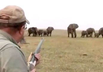 Meningkat 30 Persen, Kekerasan terhadap Hewan akan Segera Ditindak Tegas dan Dijatuhi Hukuman sampai 20 Tahun Penjara!