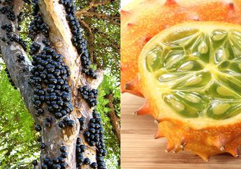 13 Buah yang Dianggap Aneh di Dunia karena Punya Bentuk Unik, Ada yang Tumbuh Subur di Indonesia!