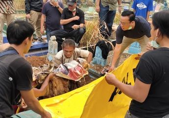 Hilang Selama 17 Hari, PNS Kementerian PU Ditemukan Tewas Dicor, Pelaku adalah Teman Dekat Korban!