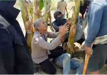 Beredar Video Viral Seorang Diduga Kapolsek Berlutut di Depan Puluhan Warga yang Bawa Parang, Memohon Ampun di Bawah Pohon Pisang