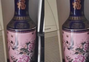 ' Saya Mengirim SMS dan Menyuruh Suami Saya Pulang' Sang Istri Berkisah Ketika Tiba-tiba Anaknya Pecahkan Guci di Ruang Tamu, Hingga Terbongkarlah Rahasia Suaminya Selama 13 Tahun