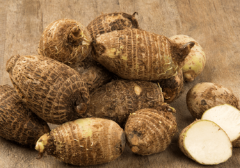 Kaya Antioksidan Pencegah Kanker, Ketahui Manfaat Tak Terduga Akar Talas Bagi Kesehatan!