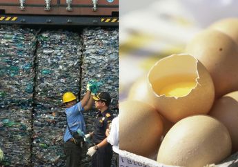 Gara-gara Impor Sampah Plastik Kian 'Ganas', Telur Ayam di Indonesia Kini Terkontaminasi Dioksin, Warga Sampai Diminta Berhenti Makan Telur, Memang Seberapa Buruk Dampaknya?
