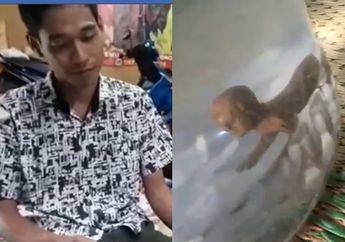 Viral Video Penangkapan Tuyul di Toples, Warga Ngaku Banyak yang Kehilangan Uang Hingga Proses Penangkapan yang Sulit Sampai Tertusuk Pecahan Kaca
