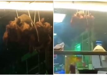 Menjijikan, Seekor Tikus Raksasa Kepergok Tengah Asyik Gigiti Ayam yang Digantung di Pinggir Jalan, Pengunjung yang Sedang Makan Langsung Terdiam Seribu Bahasa