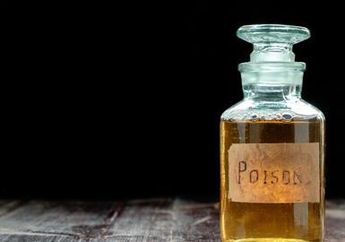 4 Racun Mematikan ini Ternyata Bisa Dijadikan Obat Mujarab untuk Sembuhkan Penyakit Jantung Hingga Kanker