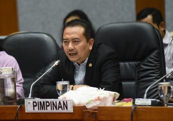 PSSI Berniat Naturalisasi Pemain Muda Brasil, Komisi X DPR RI: Sangat Ironis