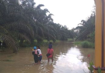  Hampir Sepekan Berada di Tengah Genangan Banjir, Warga Rokan Hilir Dihantui Ancaman Ular dan Buaya Tiap Keluar Rumah