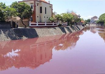 Viral Sungai Di Bali Tiba-tiba Berubah Warna Menjadi Merah, Setelah Ditelusuri Rupanya Wanita Ini Memiliki Peran Besar dalam Hal Tersebut!