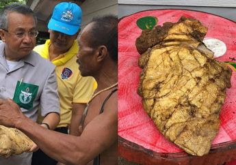 Tak Sengaja Temukan Kotoran Ikan Paus, Nelayan ini Jadi Miliarder Dadakan karena Saat Dijual Harganya Fantastis