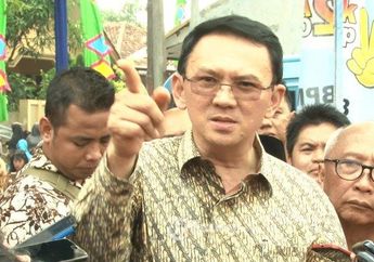 Kasus BTP Masih Menjadi Permasalahan di Dunia Internasional hingga kini, Komnas HAM: Kasusnya Ahok Itu Luar Biasa, Sampai Hari Ini tidak Selesai-selesai