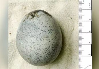 Baunya Begitu Busuk, Arkeolog Ini Temukan Telur Berusia 1.700 Tahun dari Abad ke-3, Lihat Kondisinya Seperti Ini