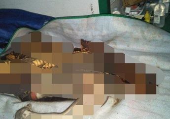 Hilang Selama 3 Hari, Bocah SD di Kalimantan Tengah Ditemukan Tewas Tanpa Kepala Usai Dimutilasi oleh Tetangganya Sendiri!