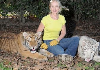 Bisa Tumbuh Sepanjang 3 Meter, Harimau Ini dengan Brutal Terkam Wanita yang Membesarkannya dari Bayi hingga Masuk Rumah Sakit: Ini Bentuk Cinta