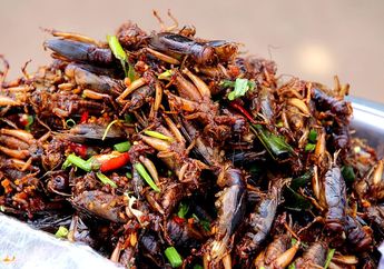 Arti Mimpi Melihat Kecoak, Benarkah Justru Pertanda Bakal Dilimpahi Keberuntungan? Berikut Penjelasannya!