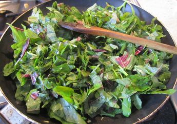 Mau Coba Turunkan Berat Badan? Konsumsi Saja Tanaman Obat Bayam Duri yang Bisa Dimakan Sebagai Salad Ini