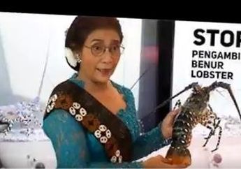 Semasa Menjabat Tak Ada Kapal Asing Yang Berani 'Recoki' Wilayah Indonesia, Susi Pudjiastuti Sindir Telak Kapal Tiongkok yang Masuk ke Laut Natuna: Persahabatan Antarnegara Tak Boleh Melindungi Pelaku Pencurian Ikan!