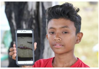 Berhasil Selamatkan Lumba-lumba yang Sekarat, Bocah Ini Malah Kembali Bertemu dengan Hewan yang Diselamatkannya dalam Kondisi Tewas Mengenaskan!