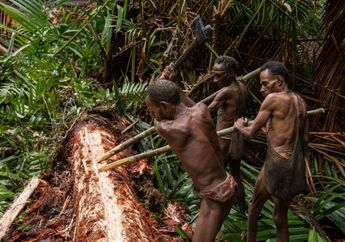 Suku Kanibal Terakhir Di Dunia Ternyata Hidup Di Papua, Menjaga Alam Papua Dengan Baik