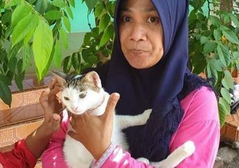 Gigit Mati Dua Ular Kobra, Aksi Heroik Kucing Kampung Selamatkan Satu Keluarga di Mojokerto Bikin sang Pemilik Berdecak Kagum!