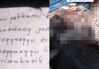 Viral, Tidak Suka dengan Kucing Karena Dianggap Menganggu, Seorang Warga Sleman Bunuh Kucing Tetangganya