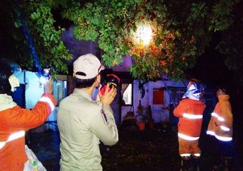 2 Warga Kediri Disengat Tawon Ndas, Petugas Gabungan Lakukan Pencarian Sarang Tawon dan Dibakar