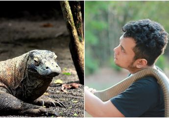 'Gimane Sih Anak Lu Mati Kaga Ngomong', Ibu Panji Petualang Diomelin Sosok Ini Saat Berita Putranya Tewas Dimakan Komodo Viral hingga Dipercaya Netizen se-Indonesia