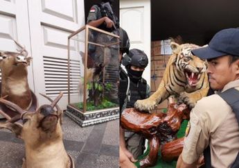 Fakta Terbaru Pengendara Lamborghini yang Todong 2 Pelajar di Kemang: Simpan Hewan Langka yang Diawetkan Hingga Pakai KTP Orang untuk Palsukan Kepemilikan Mobil Mewahnya