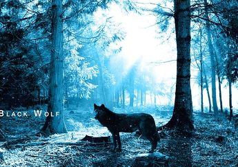 5 Arti Mimpi Dikejar Serigala, Ternyata Jadi Pertanda Pertarungan Batin dan Sisi Liar? Simak Penjelasannya