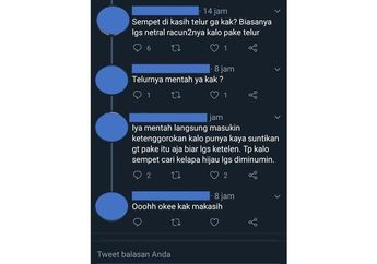 Kasus Kucing Diracunin, Benarkah Telur Mentah Dapat Digunakan untuk Menetralisir Racun di Tubuh Kucing? Ini Jawaban Dokter