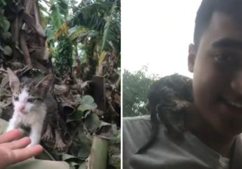Aksi Heroik, Seorang Pemuda Selamatkan Seekor Kucing yang Sudah 2 Hari Terjebak Banjir, Netizen: Udah Ganteng Penyayang Kucing Lagi!