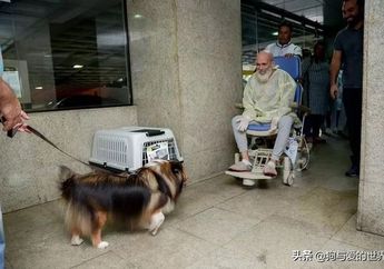 Pria Ini Derita Kanker dan Divonis Mati oleh Dokter, Lalu Dia pun Bertemu Anjingnya Untuk Terakhir Kali, Namun Hal Ajaib Terjadi Pasca Pertemuan Itu