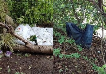 Temukan Ranjang di Dalam Hutan, Seorang Ibu Kaget di Samping Sekolah Anaknya Ada Praktek Prostitusi Terselubung