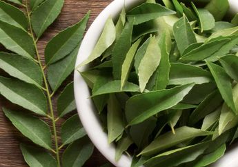 Tidak Hanya Penyedap Masakan Kari, Daun Kari Juga Punya Manfaat untuk Kesehatan Tubuh, Mau Tahu?