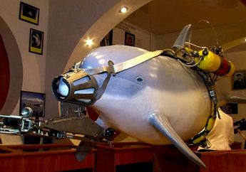 Siapa Sangka, Iran Ternyata Punya Pasukan Rahasia Lumba-lumba di Teluk Persia, Tugasnya Hancurkan dan Bantai Kapal Musuh dengan Cara Ini