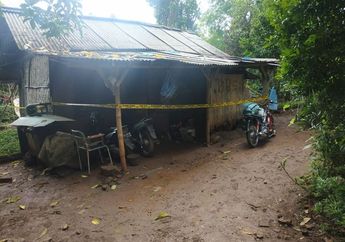 Keji! Seorang Pria Misterius Pukuli Satu Keluarga Pakai Tongkat Golf saat Terlelap Tidur, Anak Korban sampai Berteriak: Bang, Ampun Bang...