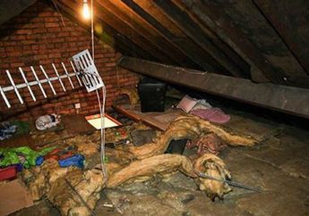 Bikin Merinding, Setiap Malam Terdengar Suara-suara Aneh dari Loteng, Setelah Ditelusuri Wanita Ini Temukan Kebenaran yang Tersembunyi Selama 12 Tahun!