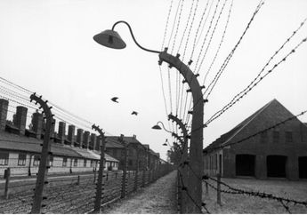 75 Tahun Setelah Holocaust Berakhir, Edith Grosman yang Berhasil Bertahan Hidup Dari Holocaust Kini Menceritakan Kekejaman yang Ia Alami Bersama 999 Wanita Lain, Simak Kisahnya