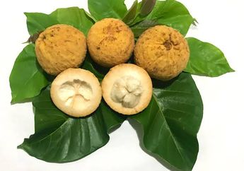 Siapa Sangka Buah Langka Ini Juga Punya Banyak Manfaat Kesehatan, dari Diabetes Hingga Keputihan