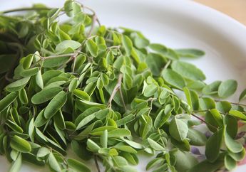 Dunia Kelimpungan Atasi Virus Corona, Siswa SMK Asal Banjarnegara Ini Malah Temukan Cendol Dawet Daun Kelor untuk Cegah Virus Corona