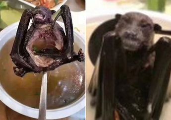 Tak Ayal Penyakit Misterius Seperti Virus Corona Muncul di Tiongkok, Hewan-Hewan Ektrem Ini Saja Dijadikan Makanan di Negeri Tirai Bambu Itu