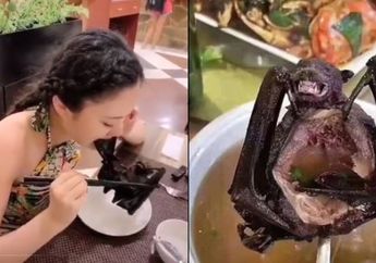 Viral Video Wanita Cantik Santap Sup Kelelawar, Hidangan Ini Diduga Jadi Biang Virus Mematikan Corona!