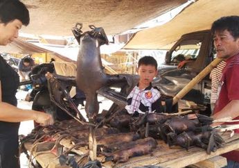 Tak Hanya di Wuhan, Ternyata Kota di Indonesia Ini juga Gemar Santap Makanan Ekstrem yang Diduga Bisa Jadi Sarang Virus Corona