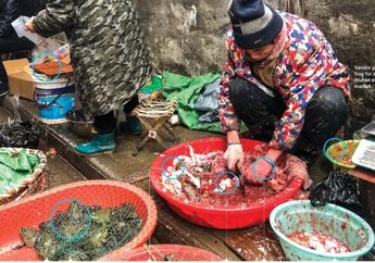 Kotor, Becek dan Sama Sekali Tak Higienis, Inilah Foto Pasar Tradisional Wuhan, Tempat yang Diduga Sebagai Awal Mula Virus Corona