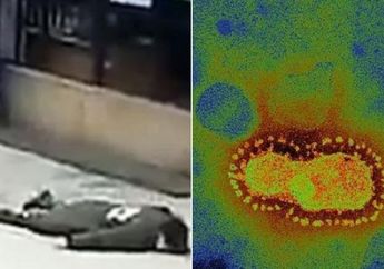 Kecerobohan dari China akan Mengakibatkan 65 Juta Penduduk Dunia Tewas dalam Setahun Diakibatkan oleh Virus Corona! Ini Sebabnya