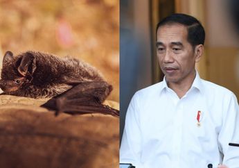 Diduga Jadi Penyebab Wabah Virus Corona, Ternyata Presiden Jokowi Pernah Makan Sup Kelelawar di Manado, Pedagang Ungkap Fakta Mengejutkan!