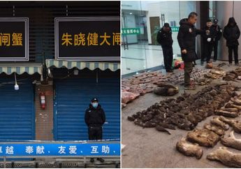 Virus Corona Bagaikan Azab Bagi Orang Tiongkok,Nekat Selundupkan Satwa Liar Ini Jadi Makanan, Tabiat Makan Orang Tiongkok Pun Terbongkar