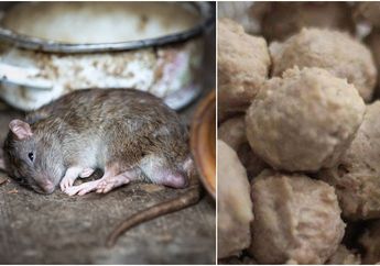 Usahanya Dirugikan hingga Nyaris Bangkrut, Penjual Bakso yang Dituding Pakai Daging Tikus : Saya Maafkan Semua Kejadian Itu