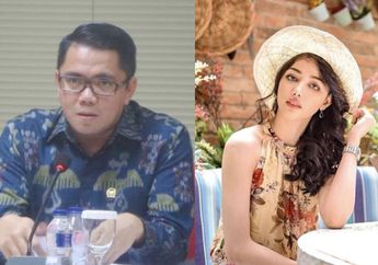 Tantang Siwi Sidi Buktikan Harta Kekayaannya, Anggota DPR Ini Minta Polisi Usut Tuntas Kasus Gundik Garuda yang Tak Kunjung Reda